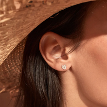Load image into Gallery viewer, ChloBo Glowing Beauty Stud Earrings - SEST3216
